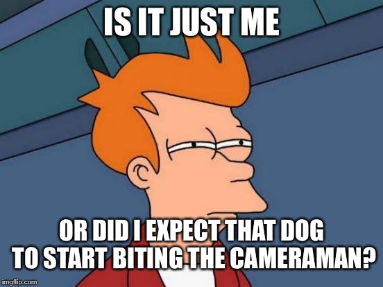 Futurama Fry Meme | IS IT JUST ME OR DID I EXPECT THAT DOG TO START BITING THE CAMERAMAN? | image tagged in memes,futurama fry | made w/ Imgflip meme maker