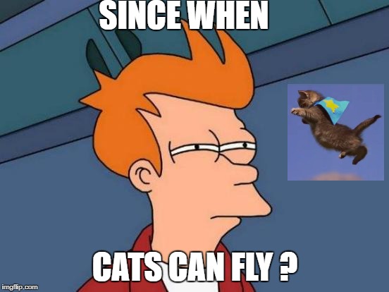Futurama Fry | SINCE WHEN; CATS CAN FLY ? | image tagged in memes,futurama fry,scumbag | made w/ Imgflip meme maker