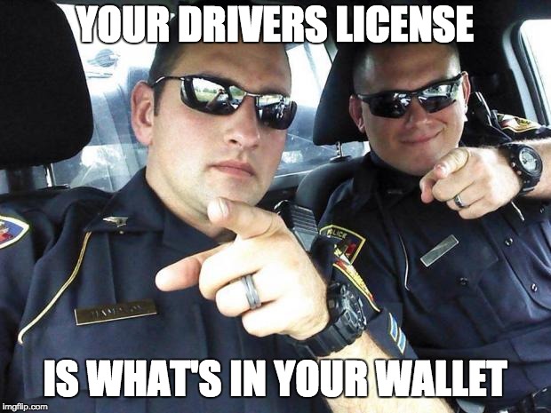 Cops | YOUR DRIVERS LICENSE; IS WHAT'S IN YOUR WALLET | image tagged in cops | made w/ Imgflip meme maker