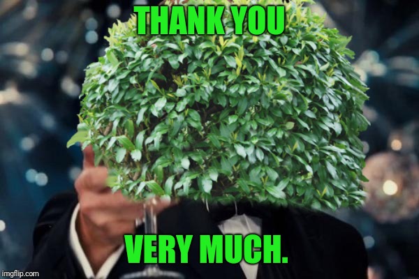 THANK YOU VERY MUCH. | made w/ Imgflip meme maker