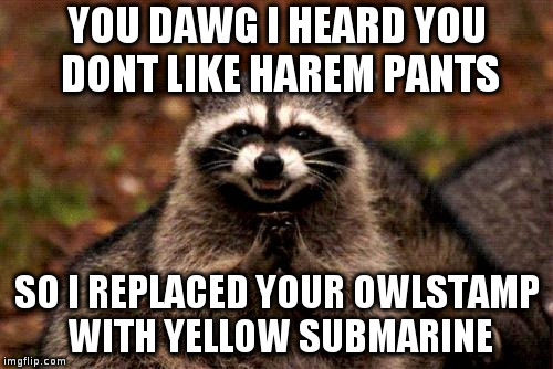 Evil Plotting Raccoon | YOU DAWG I HEARD YOU DONT LIKE HAREM PANTS; SO I REPLACED YOUR OWLSTAMP WITH YELLOW SUBMARINE | image tagged in memes,evil plotting raccoon | made w/ Imgflip meme maker