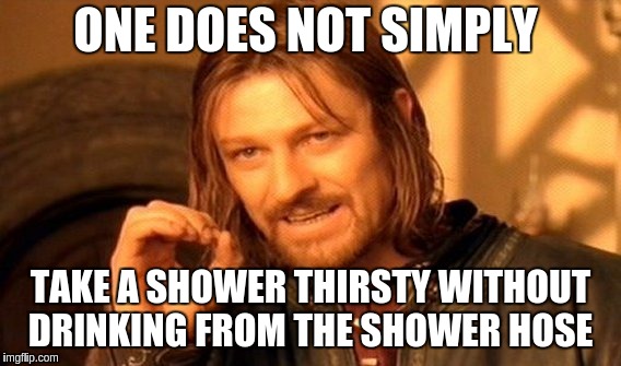 One Does Not Simply Meme | ONE DOES NOT SIMPLY; TAKE A SHOWER THIRSTY WITHOUT DRINKING FROM THE SHOWER HOSE | image tagged in memes,one does not simply | made w/ Imgflip meme maker
