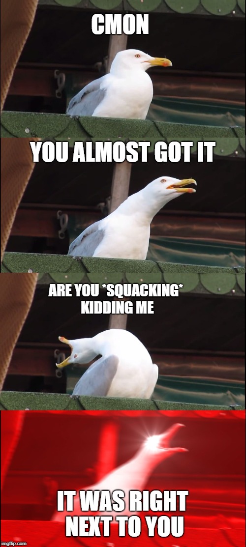 Inhaling Seagull Meme | CMON; YOU ALMOST GOT IT; ARE YOU *SQUACKING* KIDDING ME; IT WAS RIGHT NEXT TO YOU | image tagged in memes,inhaling seagull | made w/ Imgflip meme maker