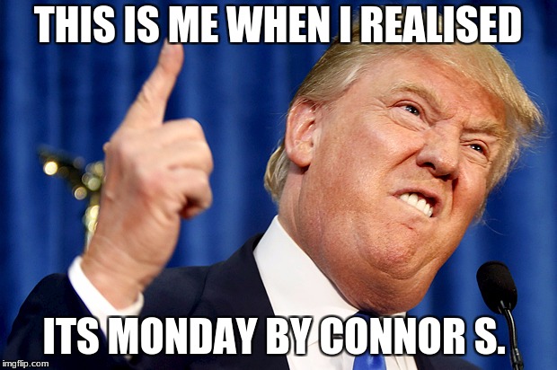 Donald Trump | THIS IS ME WHEN I REALISED; ITS MONDAY BY CONNOR S. | image tagged in donald trump | made w/ Imgflip meme maker