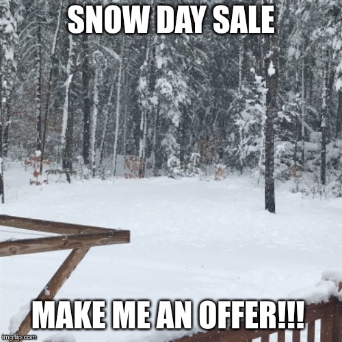 Snow Day Sale | SNOW DAY SALE; MAKE ME AN OFFER!!! | image tagged in snow | made w/ Imgflip meme maker
