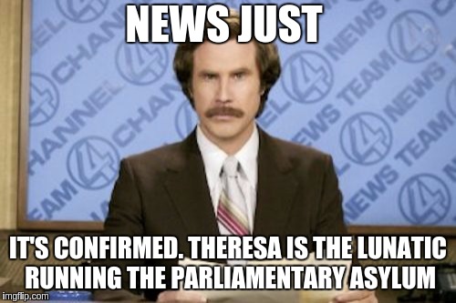 Ron Burgundy Meme | NEWS JUST; IT'S CONFIRMED. THERESA IS THE LUNATIC RUNNING THE PARLIAMENTARY ASYLUM | image tagged in memes,ron burgundy | made w/ Imgflip meme maker