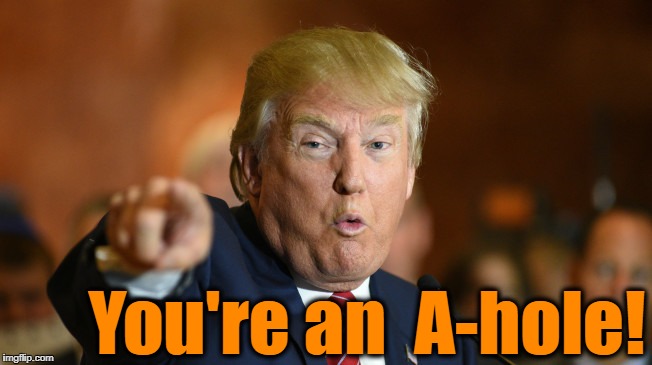 You're an  A-hole! | image tagged in gotcha | made w/ Imgflip meme maker