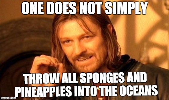 One Does Not Simply Meme | ONE DOES NOT SIMPLY; THROW ALL SPONGES AND PINEAPPLES INTO THE OCEANS | image tagged in memes,one does not simply | made w/ Imgflip meme maker