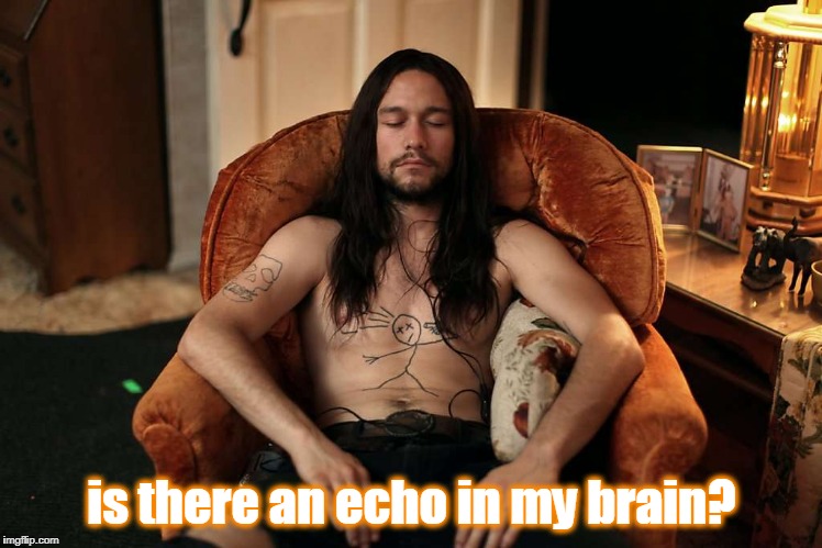 is there an echo in my brain? | made w/ Imgflip meme maker