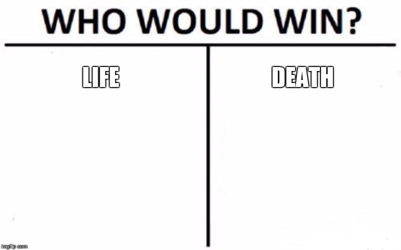 Who Would Win? | LIFE; DEATH | image tagged in memes,who would win | made w/ Imgflip meme maker