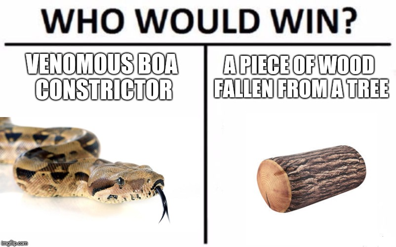 Who Would Win? Meme | VENOMOUS BOA CONSTRICTOR; A PIECE OF WOOD FALLEN FROM A TREE | image tagged in memes,who would win | made w/ Imgflip meme maker