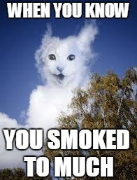 when you know | WHEN YOU KNOW; YOU SMOKED TO MUCH | image tagged in when you know,smoke,weed,memes,cats | made w/ Imgflip meme maker
