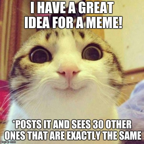 smiley cat | I HAVE A GREAT IDEA FOR A MEME! *POSTS IT AND SEES 30 OTHER ONES THAT ARE EXACTLY THE SAME | image tagged in smiley cat | made w/ Imgflip meme maker
