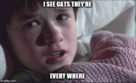 I See Dead People Meme | I SEE CATS THEY'RE; EVERY WHERE | image tagged in memes,i see dead people | made w/ Imgflip meme maker