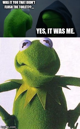 WAS IT YOU THAT DIDN'T FLUSH THE TOILET??.... YES, IT WAS ME. | image tagged in kermit the frog | made w/ Imgflip meme maker