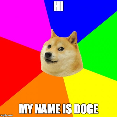 Advice Doge | HI; MY NAME IS DOGE | image tagged in memes,advice doge | made w/ Imgflip meme maker