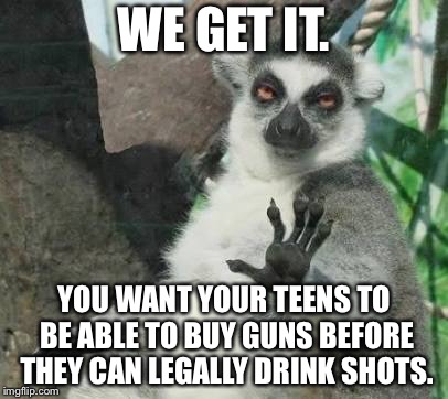 Backwards shots laws | WE GET IT. YOU WANT YOUR TEENS TO BE ABLE TO BUY GUNS BEFORE THEY CAN LEGALLY DRINK SHOTS. | image tagged in no thanks lemur,guns,drinking,florida,teen,shooting | made w/ Imgflip meme maker