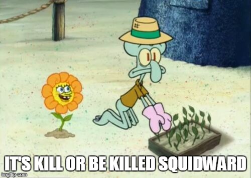IT'S KILL OR BE KILLED SQUIDWARD | image tagged in spongebob as flowey | made w/ Imgflip meme maker