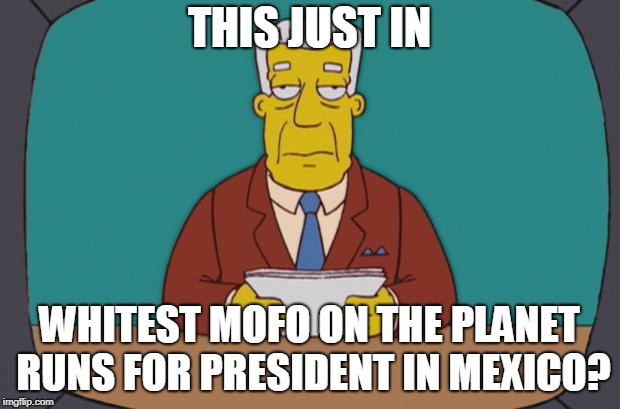 Kent Brockman | THIS JUST IN; WHITEST MOFO ON THE PLANET RUNS FOR PRESIDENT IN MEXICO? | image tagged in kent brockman | made w/ Imgflip meme maker