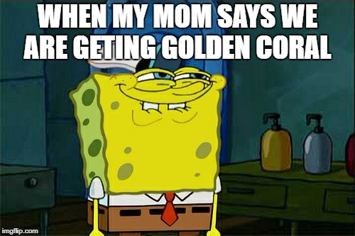 Don't You Squidward Meme | WHEN MY MOM SAYS WE ARE GETING GOLDEN CORAL | image tagged in memes,dont you squidward | made w/ Imgflip meme maker