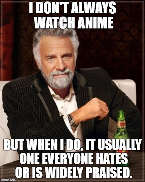 How I watch Anime | image tagged in meme,the most interesting man in the world,anime | made w/ Imgflip meme maker