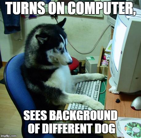 I Have No Idea What I Am Doing | TURNS ON COMPUTER, SEES BACKGROUND OF DIFFERENT DOG | image tagged in memes,i have no idea what i am doing | made w/ Imgflip meme maker