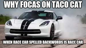 race car | WHY FOCAS ON TACO CAT; WHEN RACE CAR SPELLED BACKWORDS IS RACE CAR | image tagged in race car | made w/ Imgflip meme maker