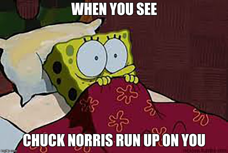 Scared Sponge Bob | WHEN YOU SEE; CHUCK NORRIS RUN UP ON YOU | image tagged in scared sponge bob | made w/ Imgflip meme maker