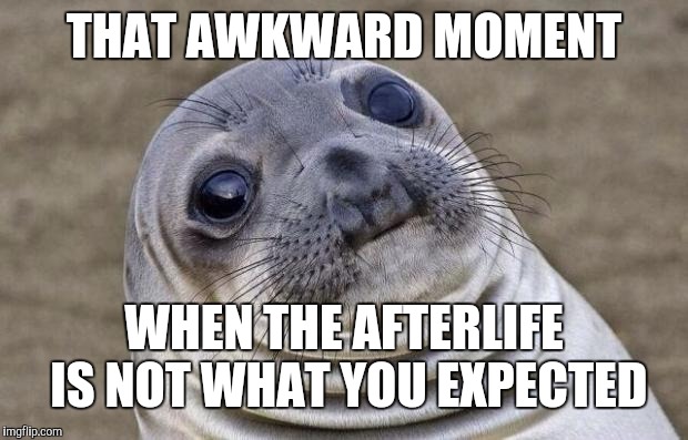 Awkward Moment Sealion Meme | THAT AWKWARD MOMENT WHEN THE AFTERLIFE IS NOT WHAT YOU EXPECTED | image tagged in memes,awkward moment sealion | made w/ Imgflip meme maker