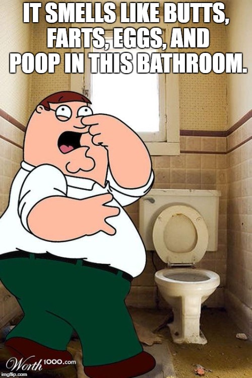 Stinky bathroom | IT SMELLS LIKE BUTTS, FARTS, EGGS, AND POOP IN THIS BATHROOM. | image tagged in stink,stinky bathrooms,farts,eggs,poop,butts | made w/ Imgflip meme maker
