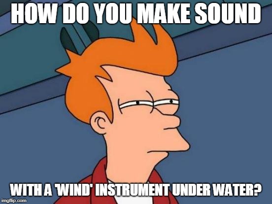 Futurama Fry Meme | HOW DO YOU MAKE SOUND WITH A 'WIND' INSTRUMENT UNDER WATER? | image tagged in memes,futurama fry | made w/ Imgflip meme maker