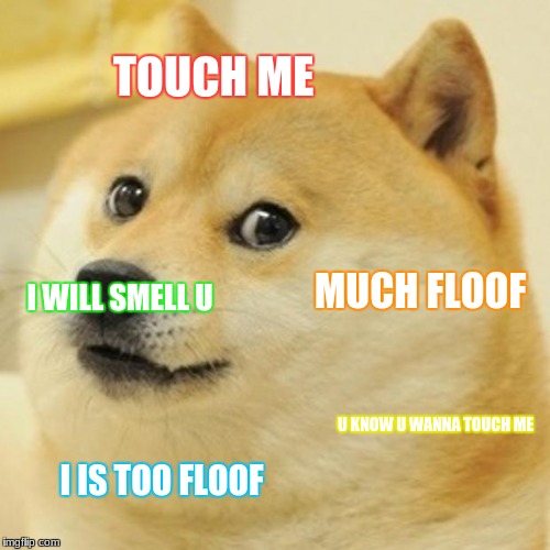 Doge | TOUCH ME; MUCH FLOOF; I WILL SMELL U; U KNOW U WANNA TOUCH ME; I IS TOO FLOOF | image tagged in memes,doge | made w/ Imgflip meme maker