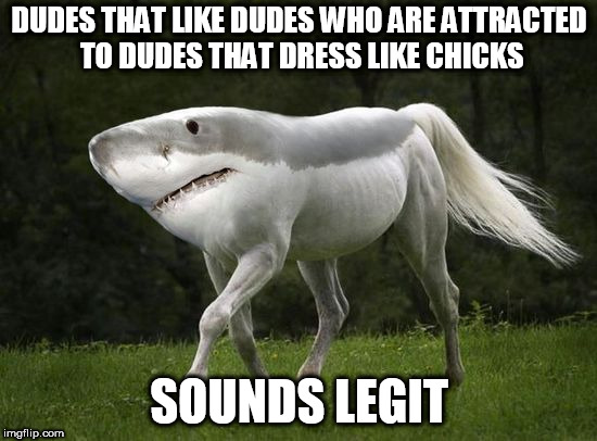 Seems legit | DUDES THAT LIKE DUDES WHO ARE ATTRACTED TO DUDES THAT DRESS LIKE CHICKS; SOUNDS LEGIT | image tagged in seems legit | made w/ Imgflip meme maker