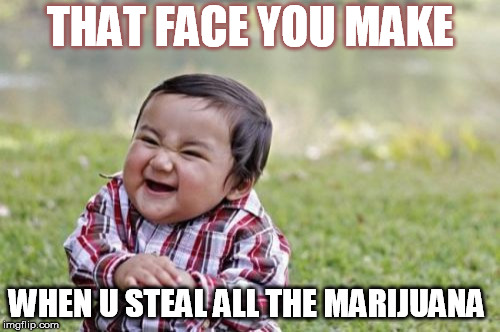 Evil Toddler Meme | THAT FACE YOU MAKE; WHEN U STEAL ALL THE MARIJUANA | image tagged in memes,evil toddler | made w/ Imgflip meme maker