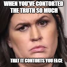 WHEN YOU'VE CONTORTED THE TRUTH SO MUCH; THAT IT CONTORTS YOU FACE | image tagged in sanders | made w/ Imgflip meme maker