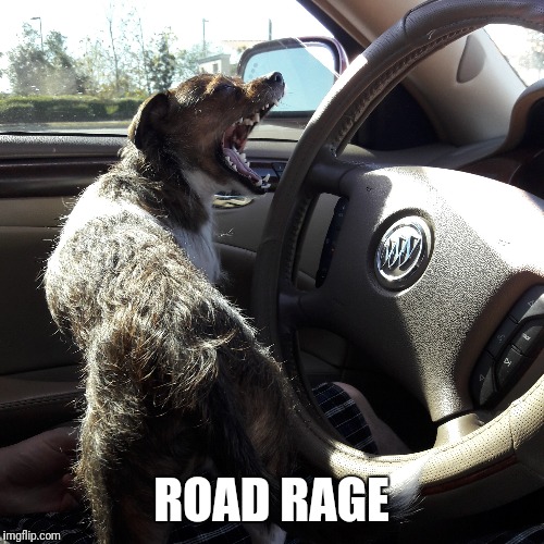 Road rage dog | ROAD RAGE | image tagged in dog fun,roar | made w/ Imgflip meme maker