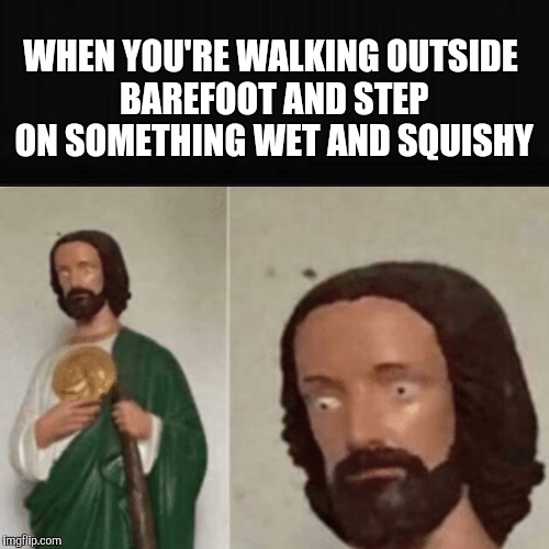 At that moment , nothing else matters | WHEN YOU'RE WALKING OUTSIDE BAREFOOT AND STEP ON SOMETHING WET AND SQUISHY | image tagged in surprised,omg,what is that,scrub,god no god please no | made w/ Imgflip meme maker