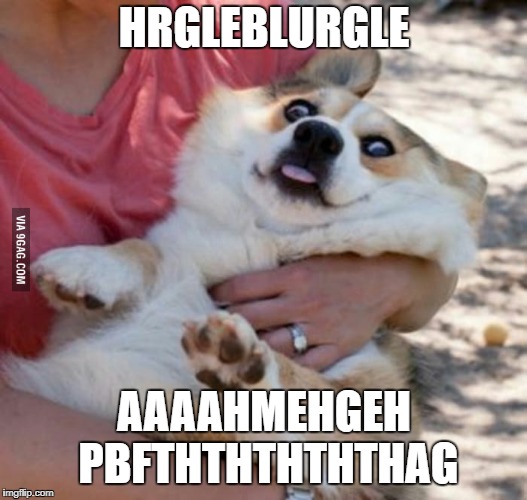 Derp Dog | HRGLEBLURGLE AAAAHMEHGEH PBFTHTHTHTHTHAG | image tagged in derp dog | made w/ Imgflip meme maker