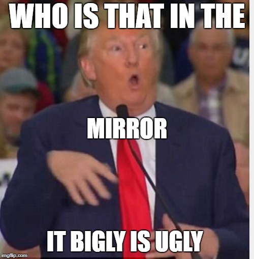 why is he looking back at me? | WHO IS THAT IN THE; MIRROR; IT BIGLY IS UGLY | image tagged in donald trump tho,mirror,ugly,donald trump is an idiot | made w/ Imgflip meme maker