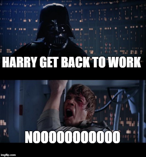 Star Wars No | HARRY GET BACK TO WORK; NOOOOOOOOOOO | image tagged in memes,star wars no | made w/ Imgflip meme maker