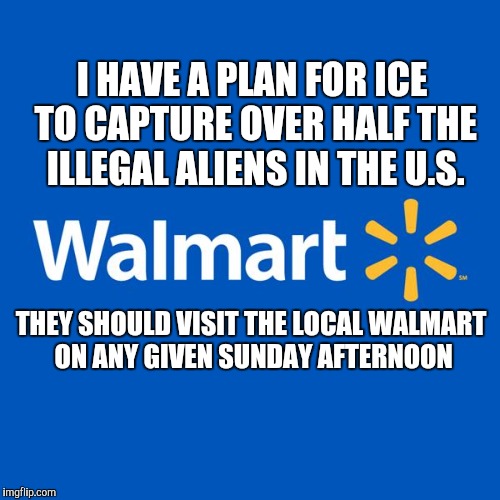 Walmart Life | I HAVE A PLAN FOR ICE TO CAPTURE OVER HALF THE ILLEGAL ALIENS IN THE U.S. THEY SHOULD VISIT THE LOCAL WALMART ON ANY GIVEN SUNDAY AFTERNOON | image tagged in walmart life | made w/ Imgflip meme maker