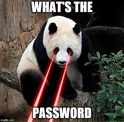 Laser panda | WHAT'S THE; PASSWORD | image tagged in laser panda | made w/ Imgflip meme maker