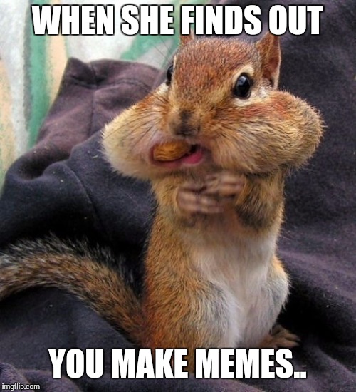 Nutty Squirrel | WHEN SHE FINDS OUT; YOU MAKE MEMES.. | image tagged in nutty squirrel | made w/ Imgflip meme maker