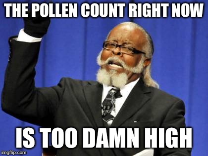 Time to stock up on antihistamines  | THE POLLEN COUNT RIGHT NOW; IS TOO DAMN HIGH | image tagged in memes,too damn high,allergies,springtime | made w/ Imgflip meme maker