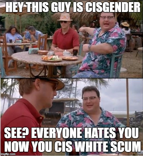 the shit we live with in 2018 | HEY THIS GUY IS CISGENDER; SEE? EVERYONE HATES YOU NOW YOU CIS WHITE SCUM | image tagged in memes,see nobody cares,feminazi,funny | made w/ Imgflip meme maker