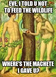 Adam and Eve | EVE, I TOLD U NOT TO FEED THE WILDLIFE; WHERE'S THE MACHETE I GAVE U? | image tagged in adam and eve | made w/ Imgflip meme maker