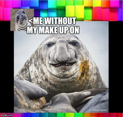 <ME WITHOUT MY MAKE UP ON | image tagged in seal,ugly | made w/ Imgflip meme maker