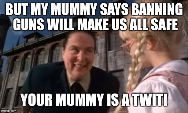 BUT MY MUMMY SAYS BANNING GUNS WILL MAKE US ALL SAFE; YOUR MUMMY IS A TWIT! | image tagged in 2nd amendment,gun control,right to bear arms,david hogg,stupid liberals,liberals | made w/ Imgflip meme maker