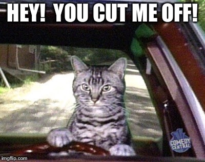 HEY!  YOU CUT ME OFF! | made w/ Imgflip meme maker