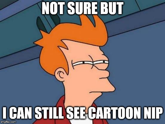 NOT SURE BUT I CAN STILL SEE CARTOON NIP | image tagged in memes,futurama fry | made w/ Imgflip meme maker